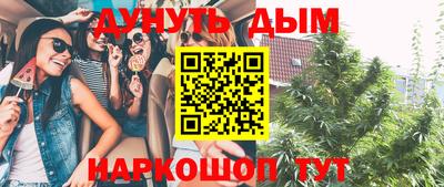 прущие грибы Будённовск