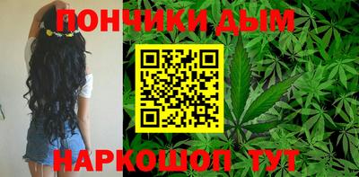 прущие грибы Будённовск